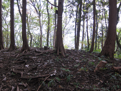 20191031hike (283)